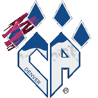 All Star Cheer Sticker by CA Denver