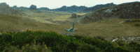 Jurassic Park Animation GIF by Red Giant