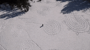 GIF by University of California