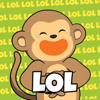 Happy Laugh GIF by Wise Monkey Meme