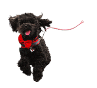 R6 Sticker by Red Six Media