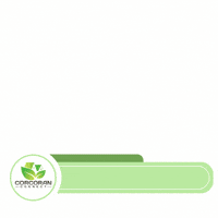 Florida Real Estate GIF by Corcoran Connect