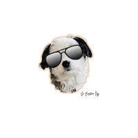 dog puppy Sticker by Johnny Fly