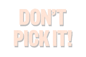 Peace Out Wink Sticker by peaceoutskincare