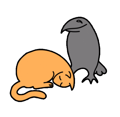 vmumok giphyupload cat crow vmumok Sticker