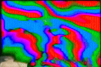 GIF by Lauryn Siegel