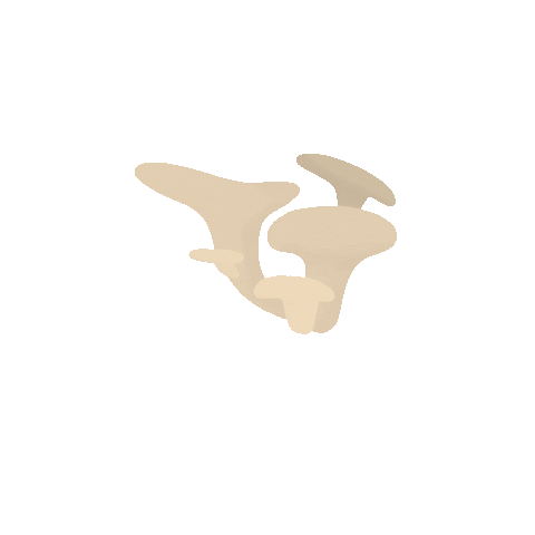 ryattsociety giphyupload instagram minimal boho Sticker