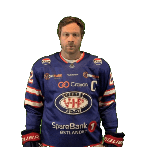 Goal Yes Sticker by VIF Hockey