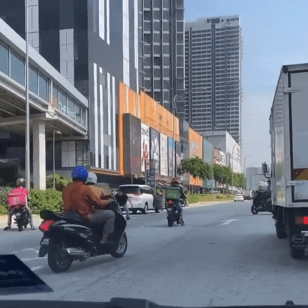 cuteanimalland giphyupload GIF