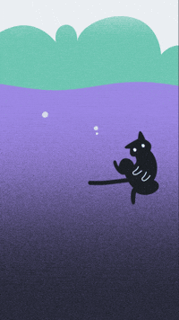 Chat Fleuve GIF
