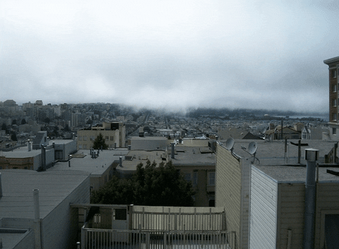 fog GIF