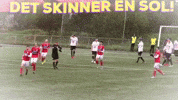 Football Soccer GIF by Norild