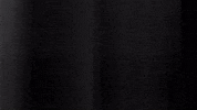 Football Sport GIF by SK Sturm Graz