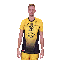 Volleyball Step Sticker by PGE Skra Bełchatów