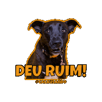 Cacausando cachorro cachorros cacausando cacauecookie Sticker