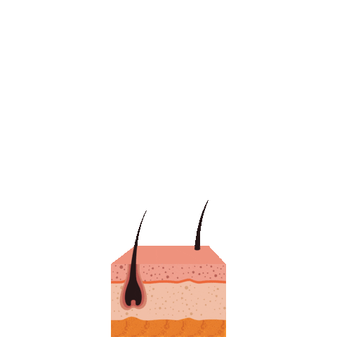 Skin Sticker by Momento