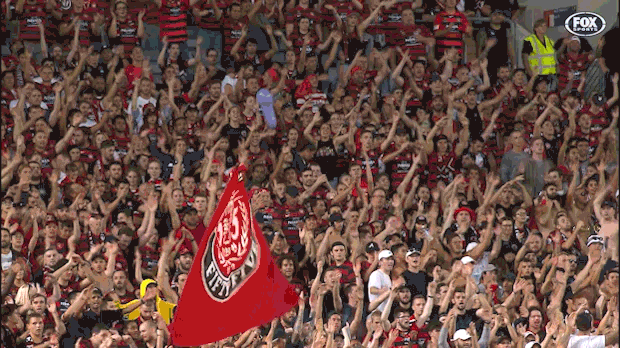 wswanderersfc giphyupload football celebration goal GIF