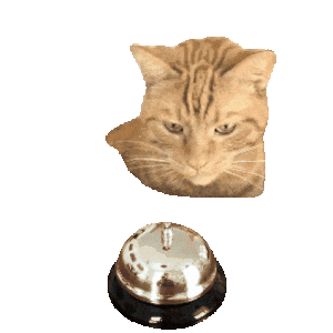 Simba Sticker by Aktiengram