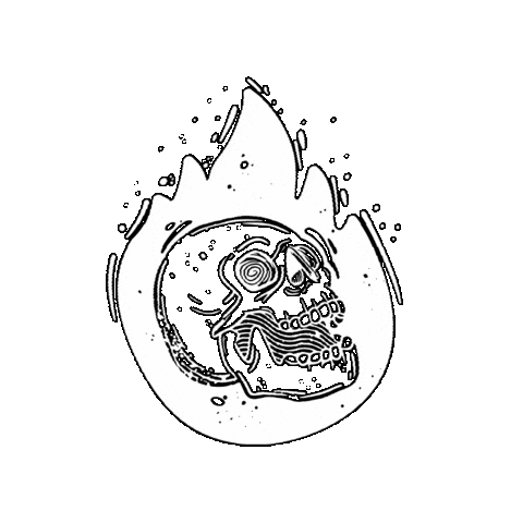 hi_rafarafa giphygifmaker fire skull still Sticker