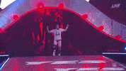 wrestlemania 34 GIF by WWE