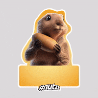 Happy Party GIF by Peyman