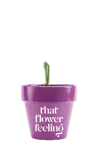 Mental Health Love Sticker by ThatFlowerFeeling