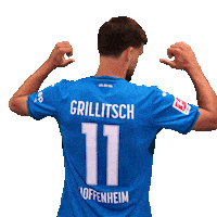 Florian Grillitsch Sport Sticker by TSG Hoffenheim