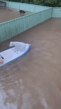 Man and His Dog Make the Most of Flooding With Backyard Paddleboard Session