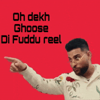 Moose Reply GIF
