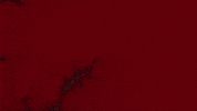 Benoit Mandelbrot Lsd GIF by xponentialdesign