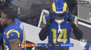 Los Angeles Rams Football GIF by NFL