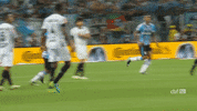 copa do brasil futebol GIF by Grêmio