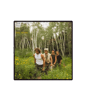 themossband cd indie music the moss the place that makes me happy Sticker