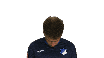 Look Up Tsg Hoffenheim Sticker by Bundesliga