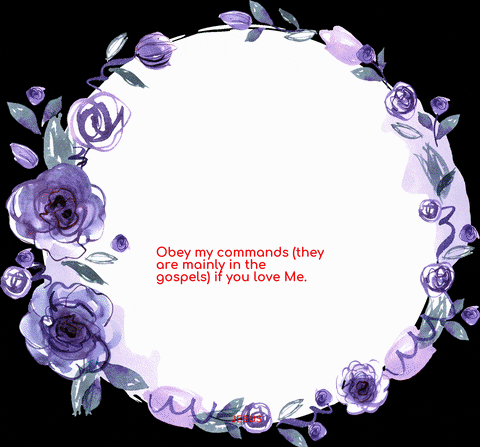 EnzoImages giphyupload love news life GIF