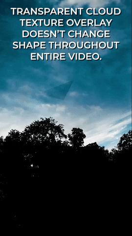 manwhore25 giphyupload GIF