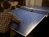 playing ping pong GIF