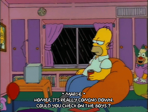Season 2 Episode 21 GIF by The Simpsons