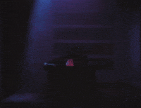 off the wall nyck caution GIF by Nyck @ Knight