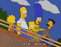 homer simpson episode 22 GIF
