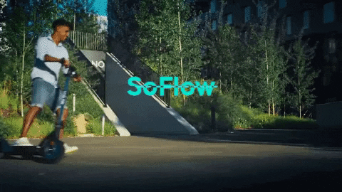 SoFlowOfficial giphygifmaker scooter escooter soflow GIF