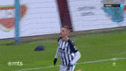 Partizan GIF by sportmts