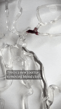 GIF by Alex Boya