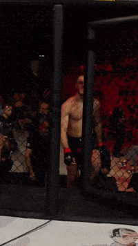 Walking Dead Ufc GIF by Old School Academy