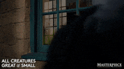 Wake Up GIF by MASTERPIECE | PBS