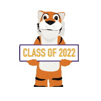 OlivetNazareneUniversity university graduation graduate junior Sticker