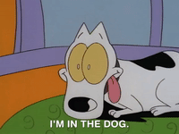 rockos modern life nicksplat GIF