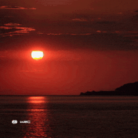 Sport Sun GIF by FIA World Rally Championship
