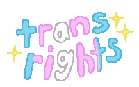 Trans Day Of Visibility Pride Sticker