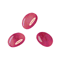 Snack おやつ Sticker by Calbee_jp